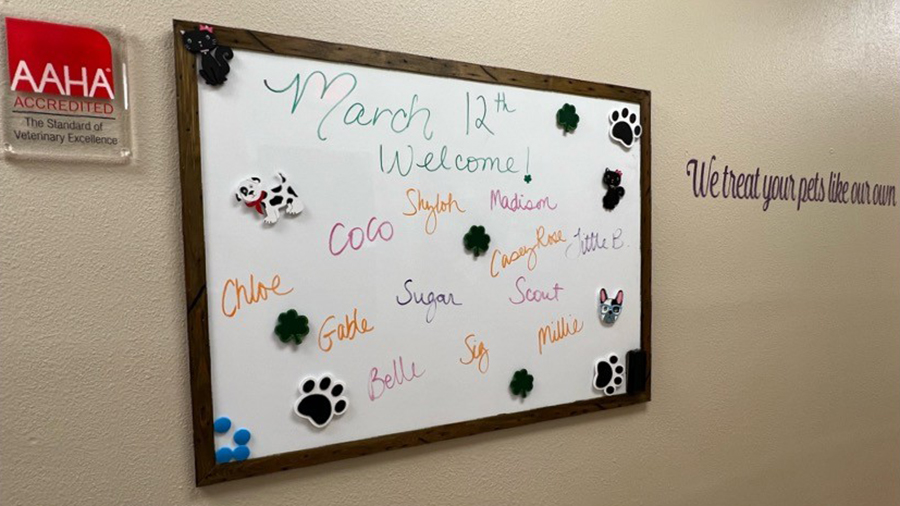 Welcome Hallway at VCA Little Animal Hospital