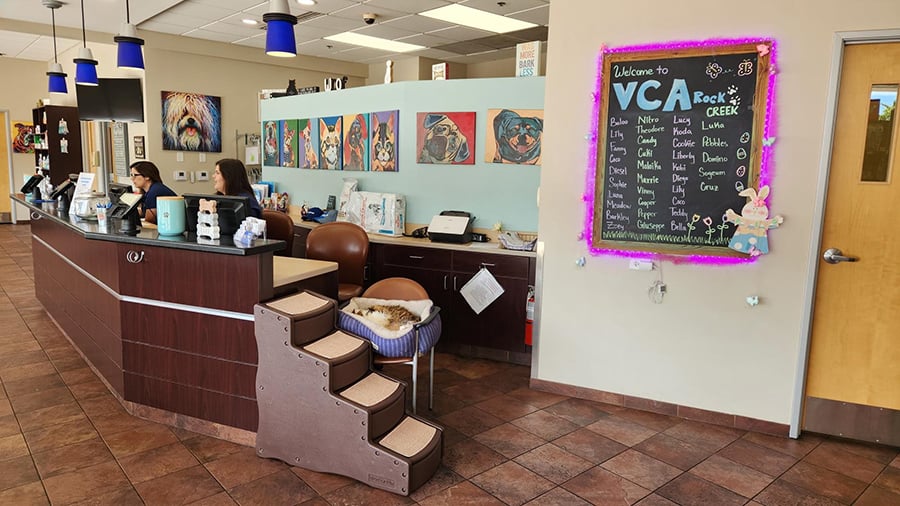 VCA Rock Creek Animal Hospital Lobby