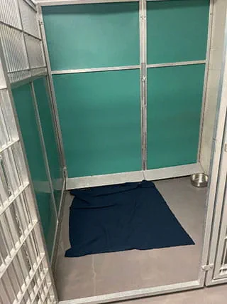 VCA SylvaniaVET Animal Hospital Dog Boarding Super Run