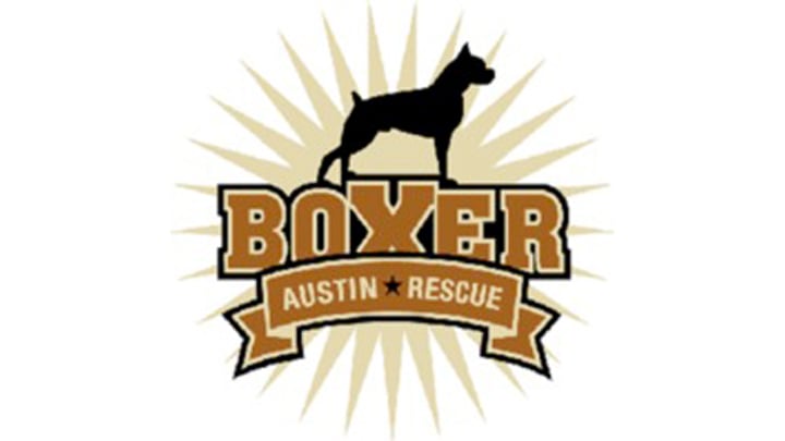 Austin Boxer Rescue