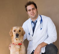 veterinary_visits_examinations_-_desensitization_reducing_fear_1