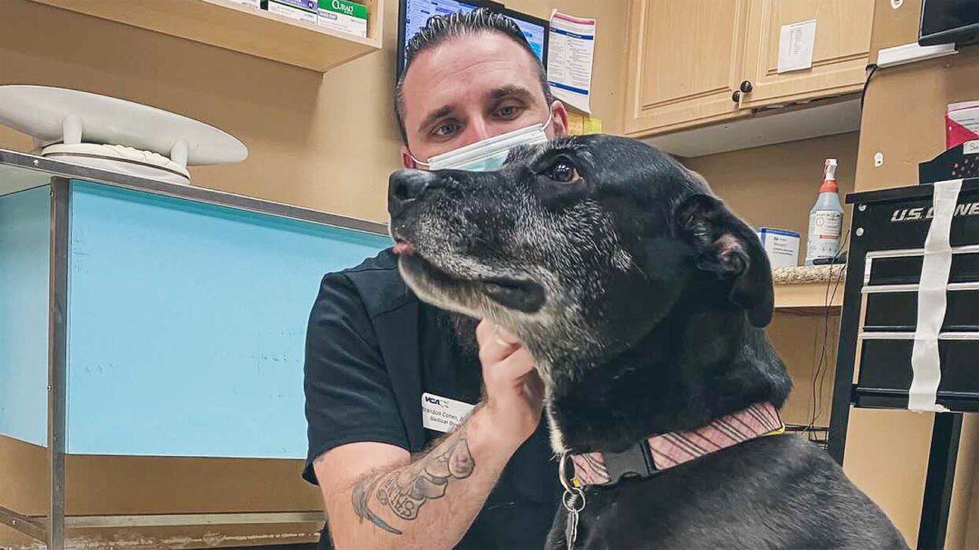 Dr. Cohen with Canine Patient
