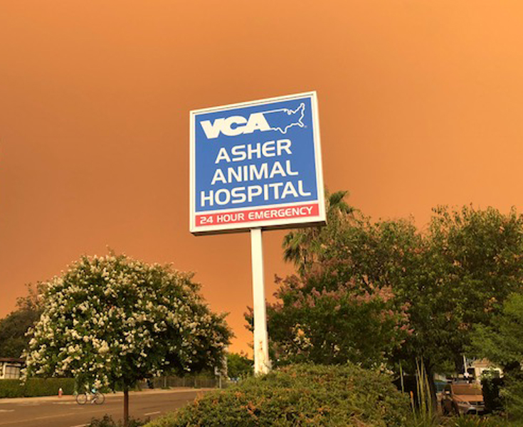 Veterinarians in Lafayette, CO VCA All Pets Animal Hospital Lafayette