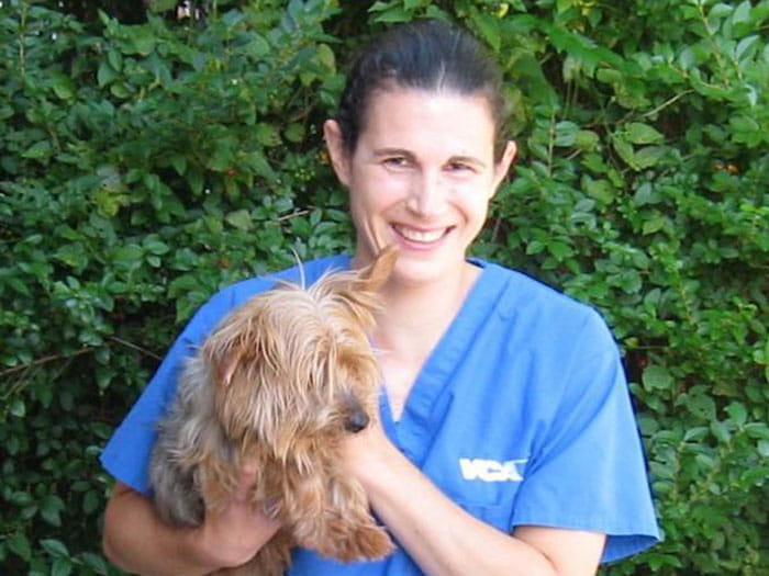 Everett Vets at VCA Everett Animal Hospital