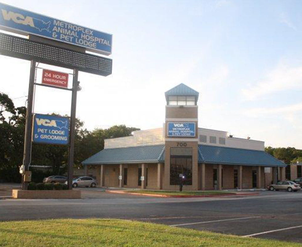 Our Hospital VCA Metroplex Animal Hospital & Pet Lodge Primary