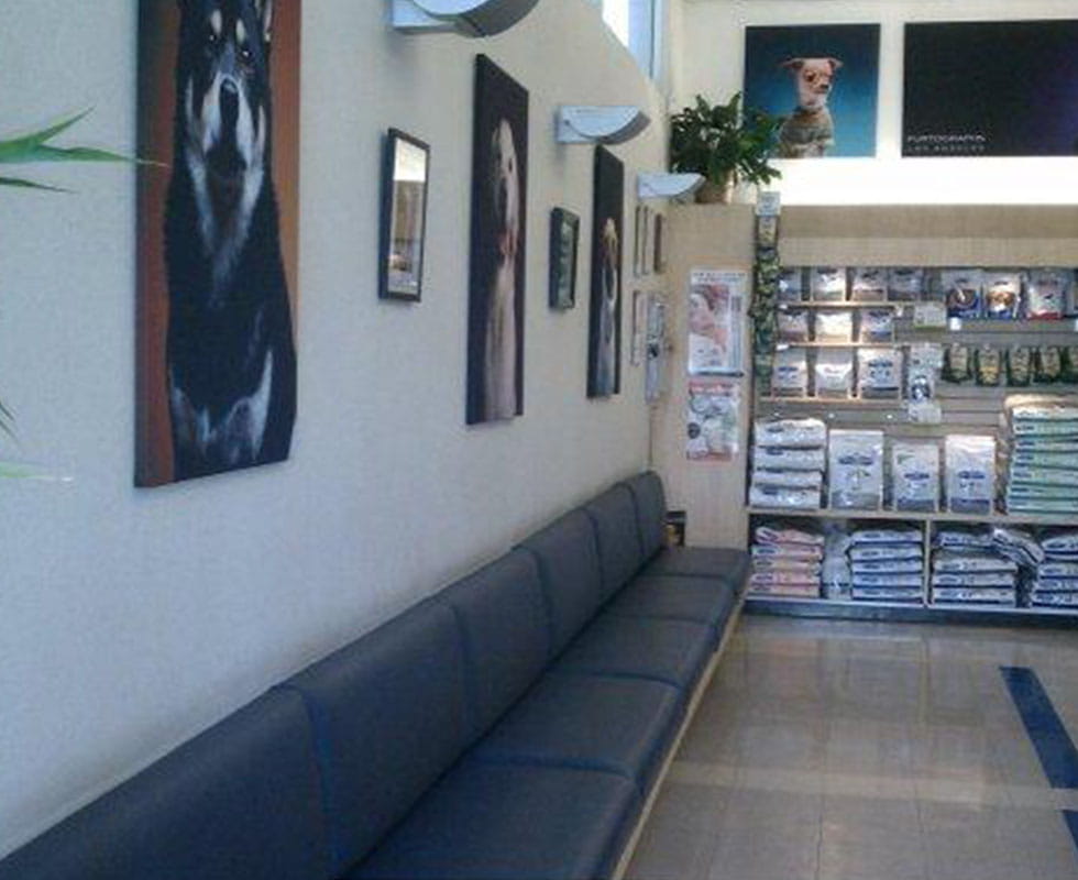 Our Hospital VCA MillerRobertson Animal Hospital