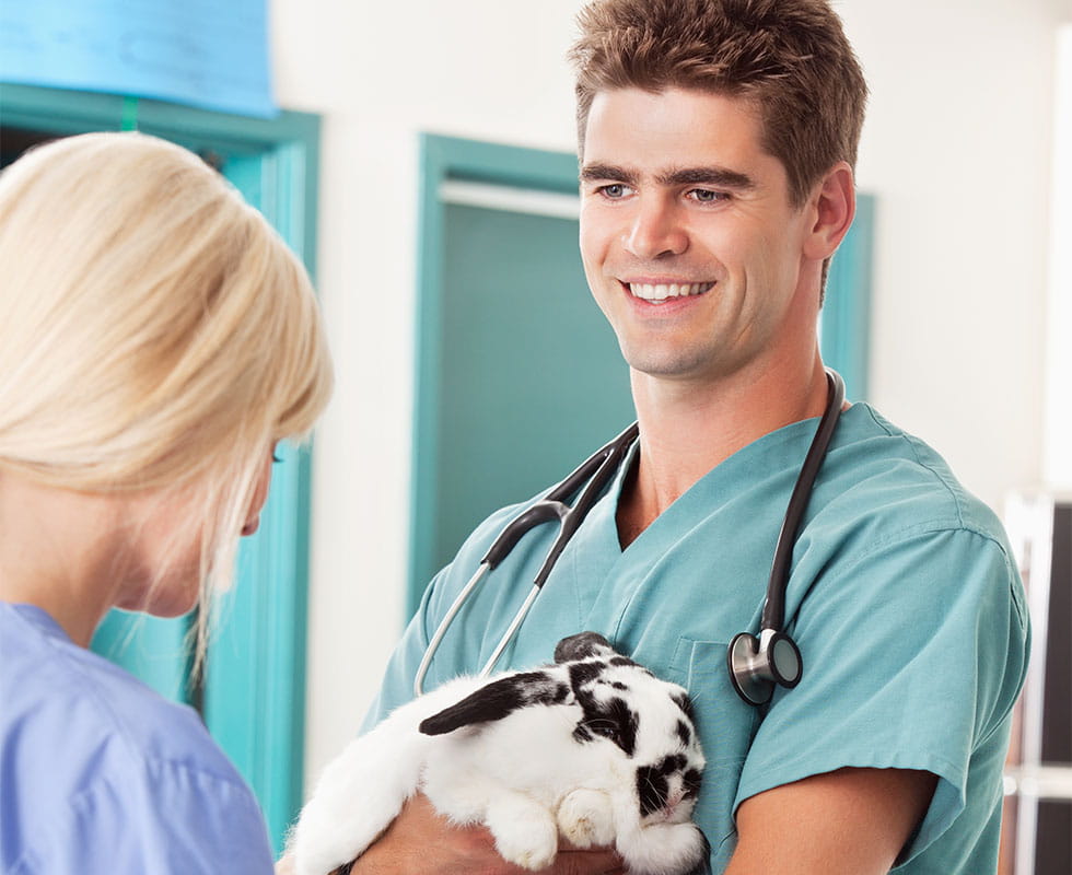 VCA Mission Animal Hospital Staff Page