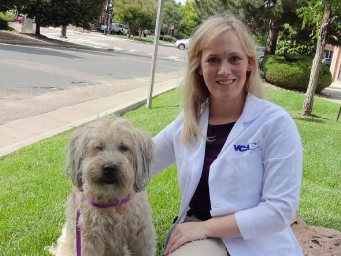 Denver Vets at VCA Park Hill Animal Hospital