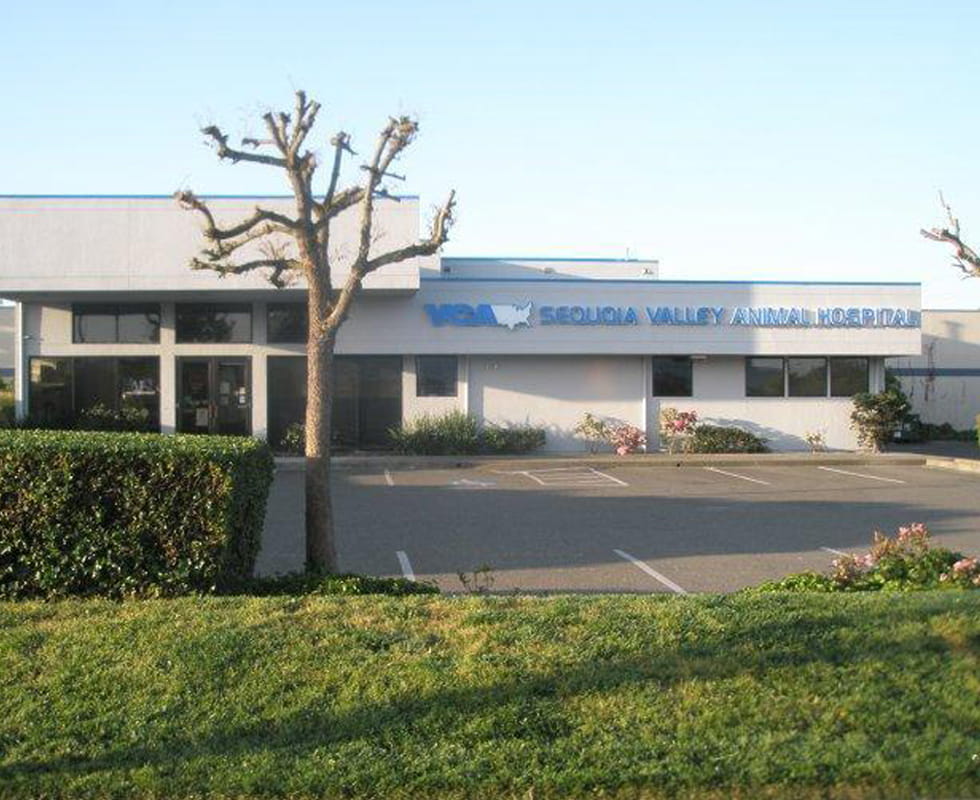 Our Hospital | VCA Sequoia Valley Animal Hospital
