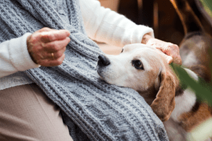 t-f soft mass check for pets