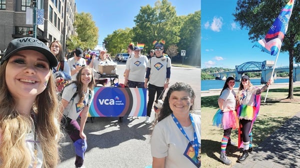 Pride Month 2023 - VCA Voice Blog Post